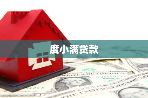 岳池度小满贷款