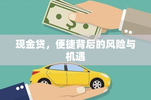 岳池现金贷，便捷背后的风险与机遇