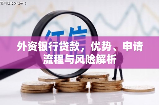 岳池外资银行贷款，优势、申请流程与风险解析