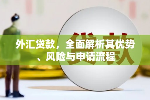 岳池外汇贷款，全面解析其优势、风险与申请流程