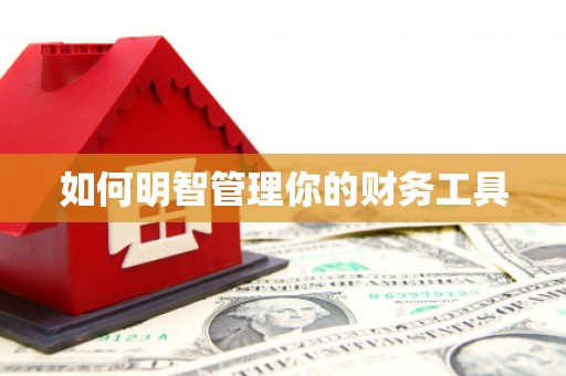 岳池如何明智管理你的财务工具