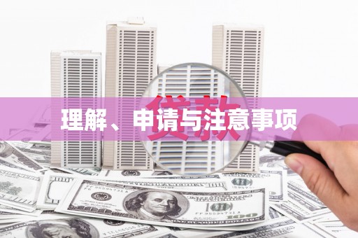 岳池理解、申请与注意事项