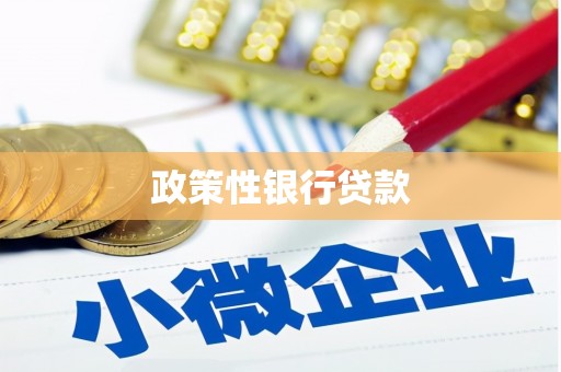 岳池政策性银行贷款