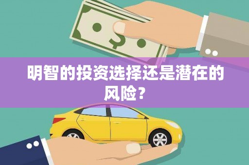岳池明智的投资选择还是潜在的风险？