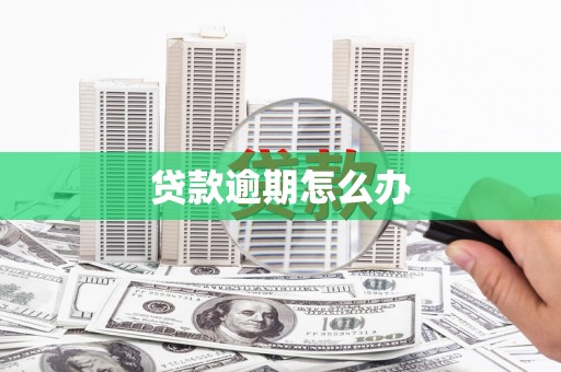 岳池贷款逾期怎么办
