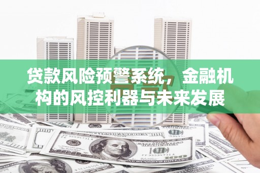 岳池贷款风险预警系统，金融机构的风控利器与未来发展