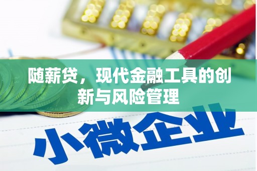 岳池随薪贷，现代金融工具的创新与风险管理