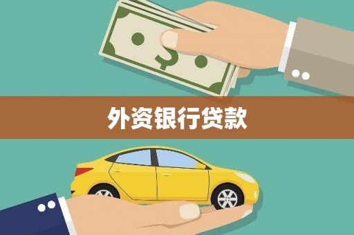 岳池外资银行贷款