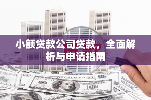 岳池小额贷款公司贷款，全面解析与申请指南