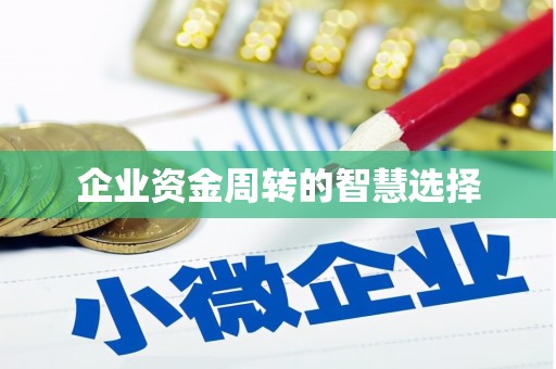 岳池企业资金周转的智慧选择