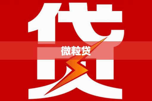 岳池微粒贷