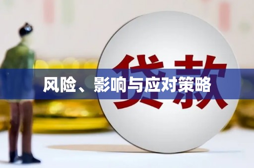 岳池风险、影响与应对策略