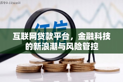 岳池互联网贷款平台，金融科技的新浪潮与风险管控