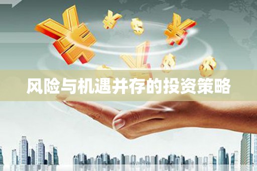 岳池风险与机遇并存的投资策略