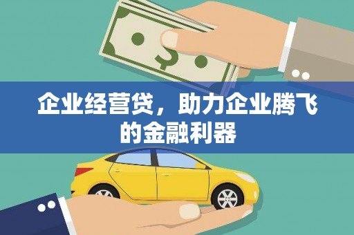 岳池企业经营贷，助力企业腾飞的金融利器