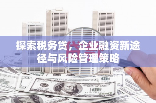岳池探索税务贷，企业融资新途径与风险管理策略