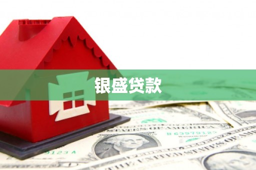 岳池银盛贷款