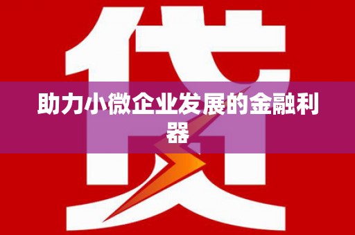 岳池助力小微企业发展的金融利器