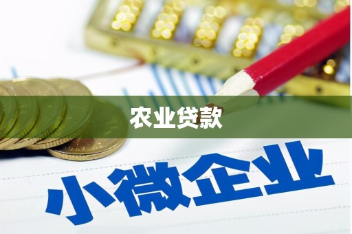 岳池农业贷款