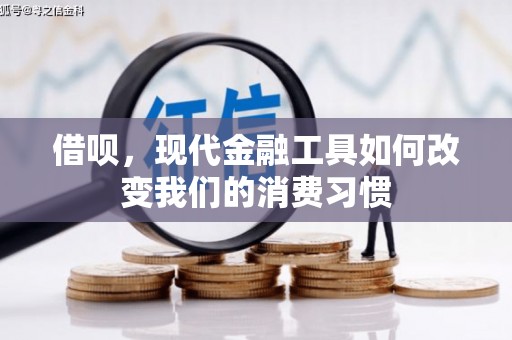 岳池借呗，现代金融工具如何改变我们的消费习惯