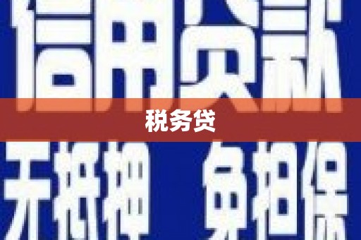 岳池税务贷