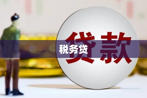 岳池税务贷