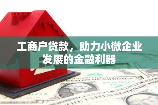 岳池工商户贷款，助力小微企业发展的金融利器