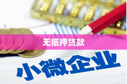 岳池无抵押贷款