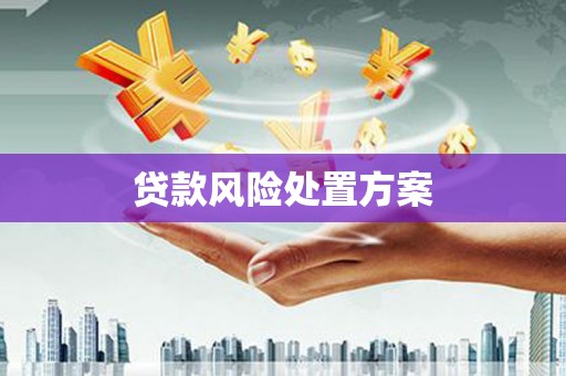 岳池贷款风险处置方案