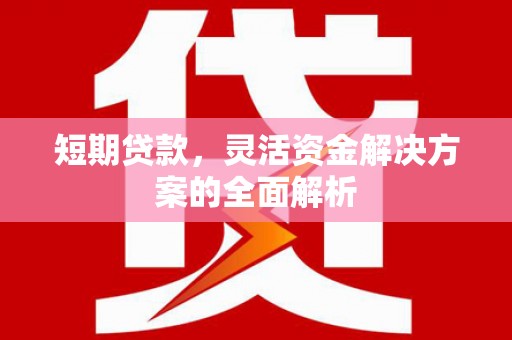 岳池短期贷款，灵活资金解决方案的全面解析