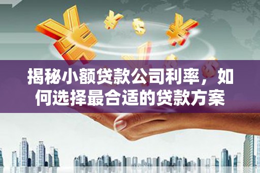 岳池揭秘小额贷款公司利率，如何选择最合适的贷款方案