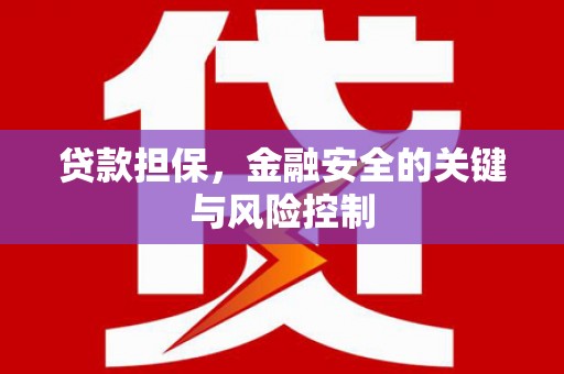 岳池贷款担保，金融安全的关键与风险控制